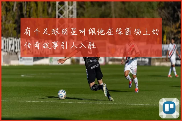 有个足球明星叫佩他在绿茵场上的传奇故事引人入胜