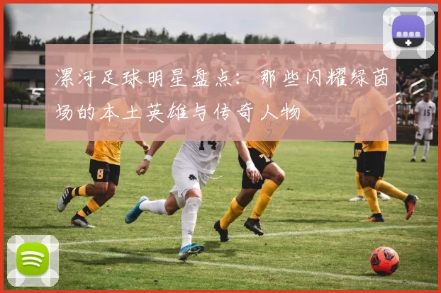漯河足球明星盘点：那些闪耀绿茵场的本土英雄与传奇人物
