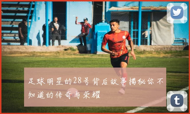 足球明星的28号背后故事揭秘你不知道的传奇与荣耀