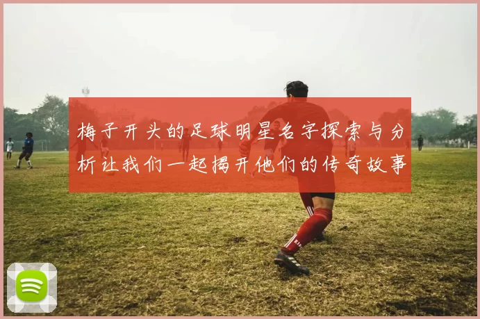 梅子开头的足球明星名字探索与分析让我们一起揭开他们的传奇故事与成就