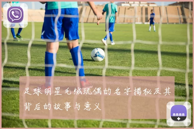 足球明星毛绒玩偶的名字揭秘及其背后的故事与意义