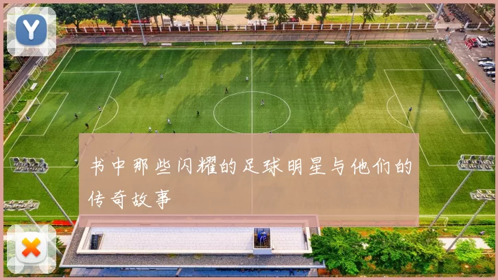 书中那些闪耀的足球明星与他们的传奇故事