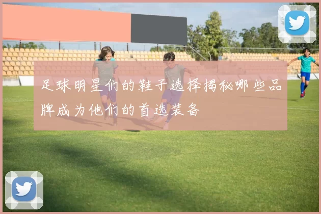 足球明星们的鞋子选择揭秘哪些品牌成为他们的首选装备