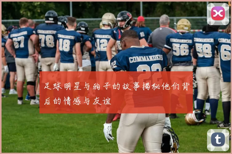 足球明星与狗子的故事揭秘他们背后的情感与友谊