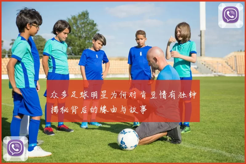 众多足球明星为何对肯豆情有独钟揭秘背后的缘由与故事
