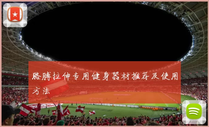 胳膊拉伸专用健身器材推荐及使用方法