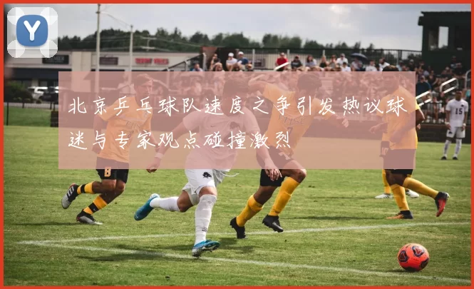 北京乒乓球队速度之争引发热议球迷与专家观点碰撞激烈