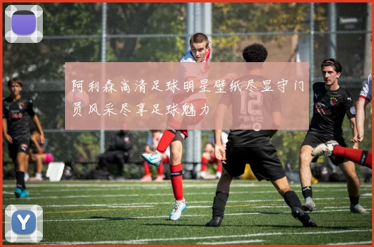 阿利森高清足球明星壁纸尽显守门员风采尽享足球魅力