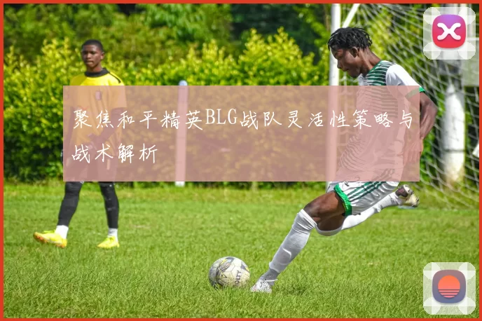 聚焦和平精英BLG战队灵活性策略与战术解析