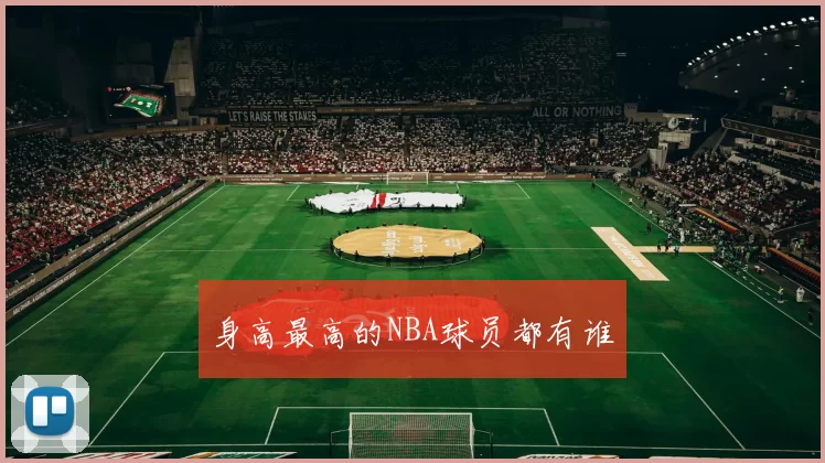 身高最高的NBA球员都有谁