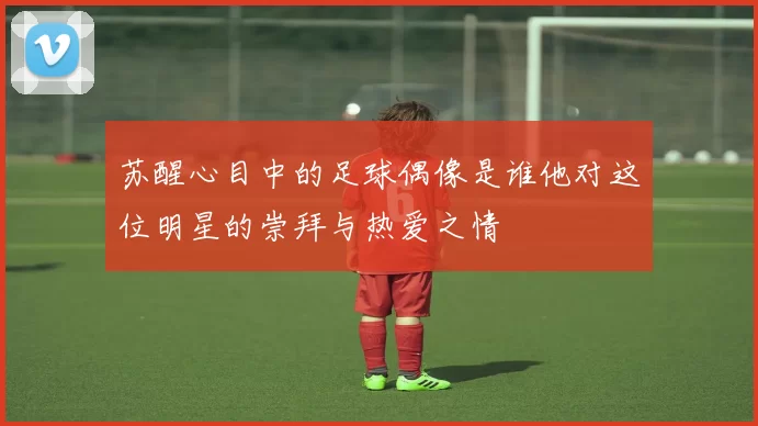 苏醒心目中的足球偶像是谁他对这位明星的崇拜与热爱之情