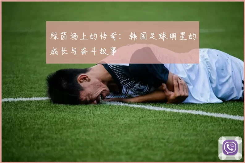 绿茵场上的传奇：韩国足球明星的成长与奋斗故事
