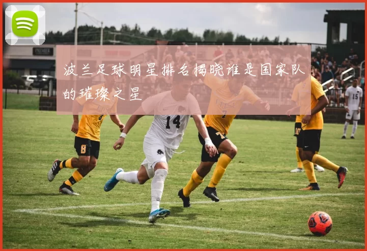 波兰足球明星排名揭晓谁是国家队的璀璨之星