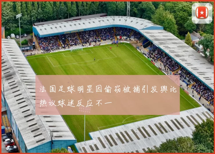 法国足球明星因偷窃被捕引发舆论热议球迷反应不一