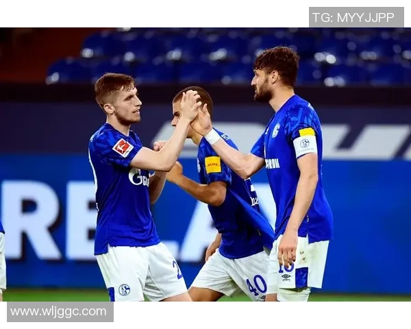 帕德博恩迎战汉诺威96双方争夺德乙联赛重要积分