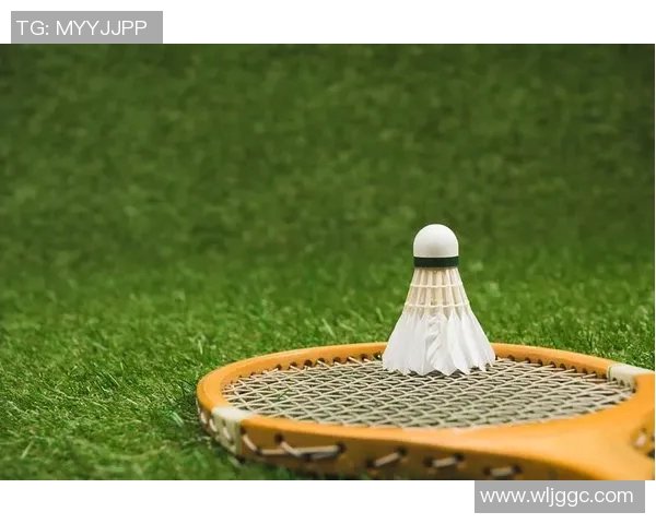 球类运动的魅力与挑战探索：从足球篮球到羽毛球乒乓球的多维度解析