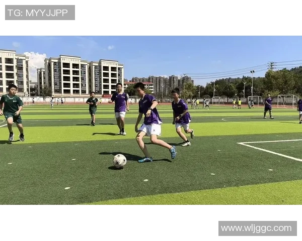 乒乓球的艺术与科学：深入解析上海乒乓球队的技术与训练秘诀