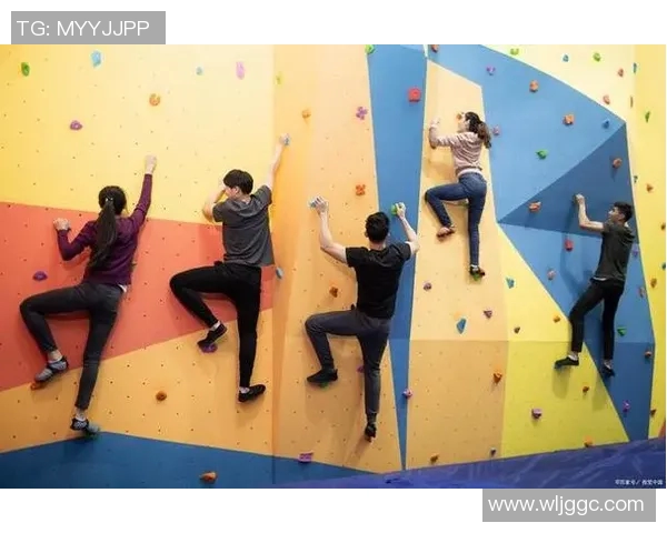 南京攀岩队的意识提升与团队精神探讨聚焦攀岩运动的未来发展