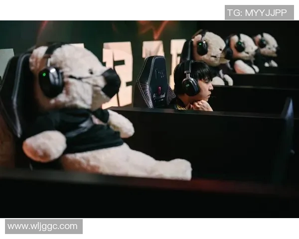 RNG战队的荣耀逆袭之路DOTA2赛场上的传奇与坚持 RNG战队的荣耀逆袭之路DOTA2赛场上的传奇与坚持