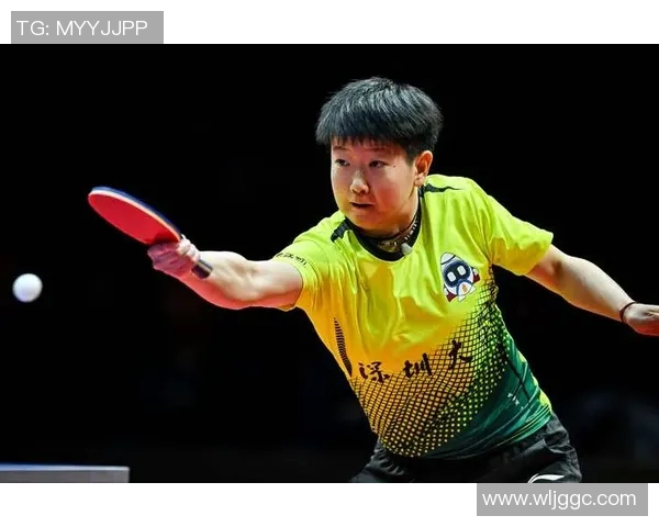 深圳排球队总决赛之路：从默默无闻到荣耀巅峰的奋斗历程