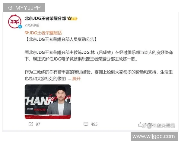 王者荣耀巨献:深入解析JDG战队的游戏节奏与策略运用 王者荣耀巨献:深入解析JDG战队的游戏节奏与策略运用