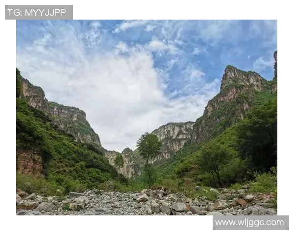 李伟独家分享乒乓球技巧与心得助你提升球技的秘诀与经验总结