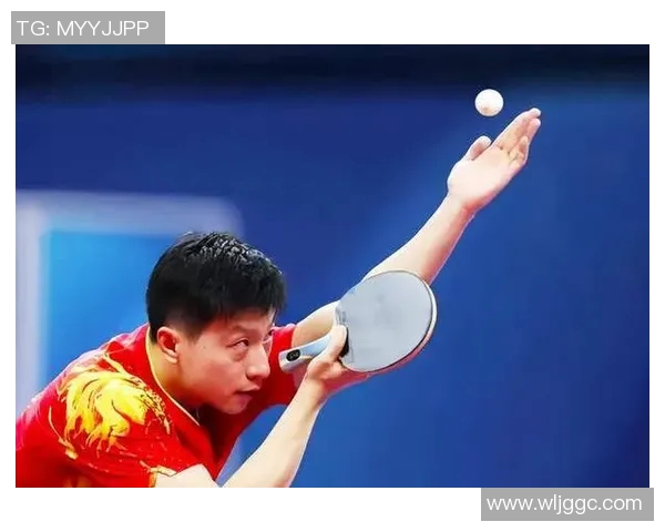 从零开始掌握乒乓球战术技巧全解析助你成为乒乓高手