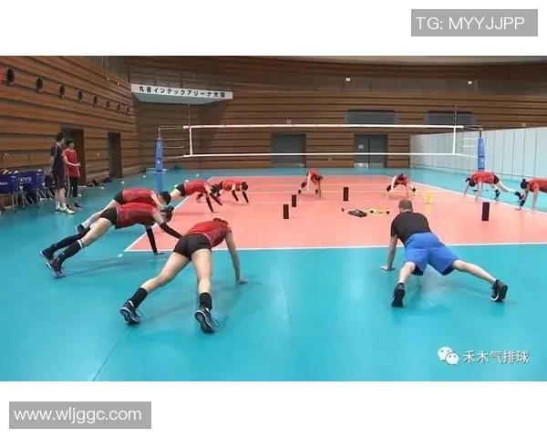 刘静独家分享排球心得与技巧助你提升竞技水平和团队合作能力